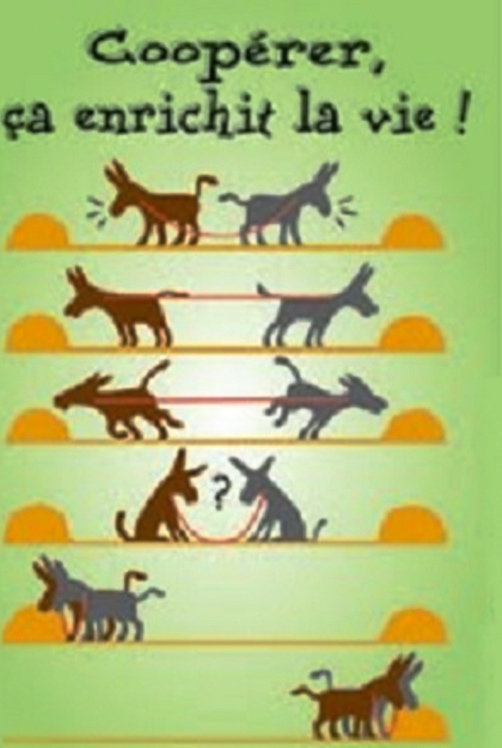 Réunion de présentation des classes Réunion de présentation des classes