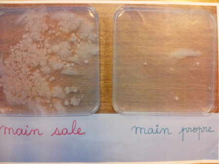 Lavage des mains ... Lavage des mains ...