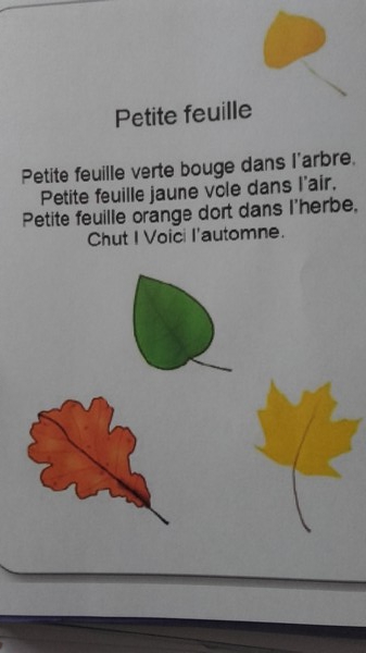 L'AUTOMNE en PS/MS L'AUTOMNE en PS/MS