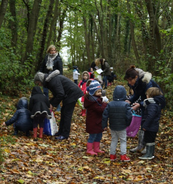 SORTIE AU BOIS DU CAPRICE