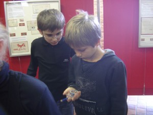 La philatél'île aux trésors La philatél'île aux trésors