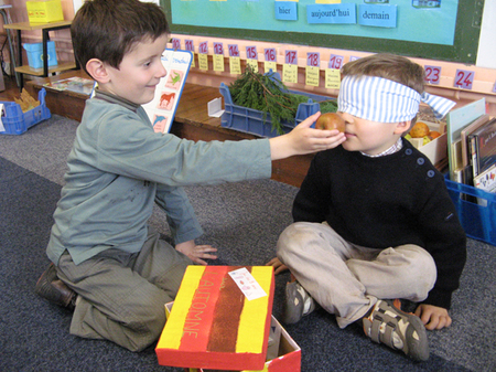 Jeu des 5 sens Jeu des 5 sens