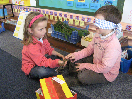 Jeu des 5 sens Jeu des 5 sens