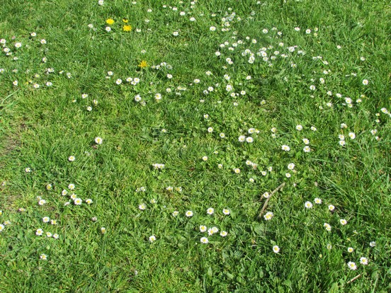 Soleil de printemps ! Soleil de printemps !