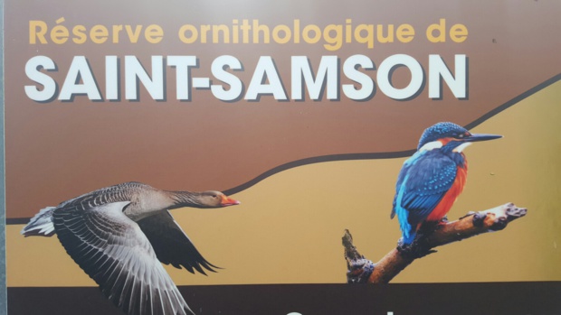 Visite de la réserve ornithologique de St Samson