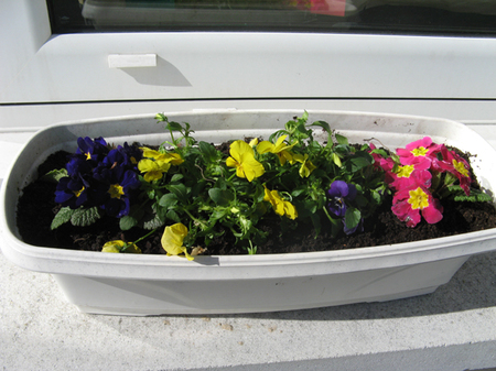 Ateliers Jardinage Ateliers Jardinage