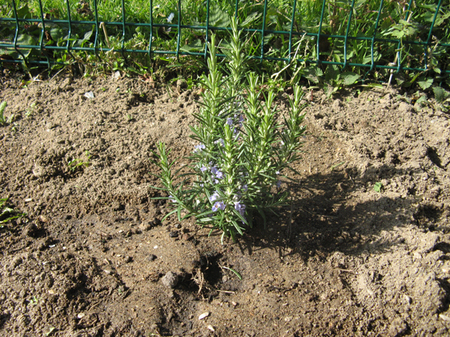 Ateliers Jardinage Ateliers Jardinage