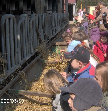 La classe de Moyenne-Section à la ferme.