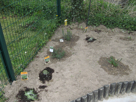 Tous au jardin ! Tous au jardin !