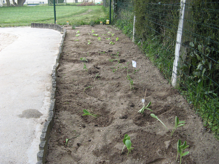 Tous au jardin ! Tous au jardin !