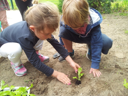 Jardinons ! Jardinons !