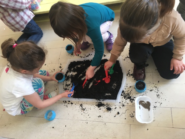 De la graine à la plante De la graine à la plante