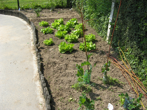 Petit tour de jardin