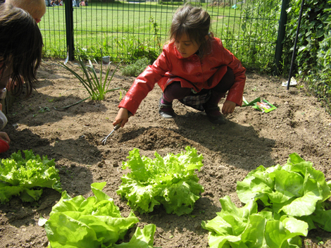 Petit tour de jardin