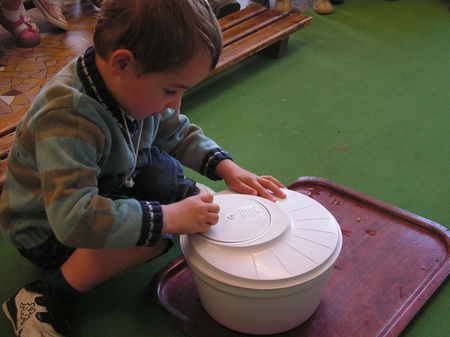 Les salades du jardin sont prêtes! Les salades du jardin sont prêtes!