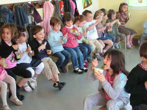 Les salades du jardin sont prêtes! Les salades du jardin sont prêtes!