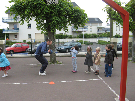 Basket Basket