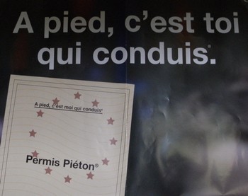 Le permis piéton Le permis piéton