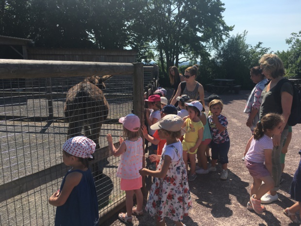 Sortie scolaire à la colline aux oiseaux