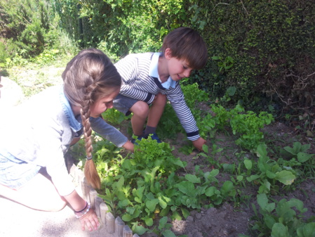 Récoltons ! Dégustons ! Récoltons ! Dégustons !