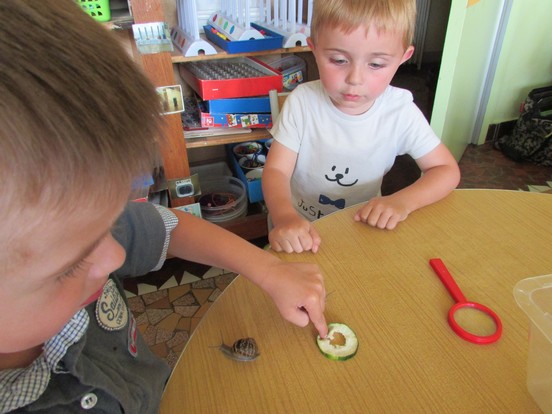 Observation des escargots... Observation des escargots...