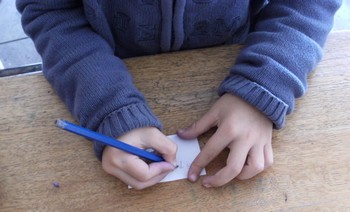 Election des délégués en CP Election des délégués en CP