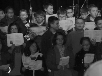 Graines de star Graines de star