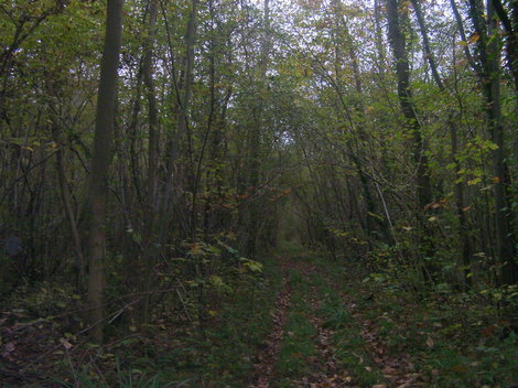 En promenade à Grimbosq En promenade à Grimbosq
