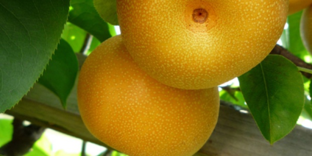 Cap sur le monde par les papilles.L'Asie. Cap sur le monde par les papilles.L'Asie.