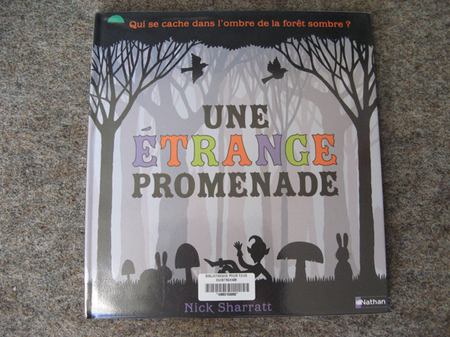 Visite à la bibliothèque Visite à la bibliothèque