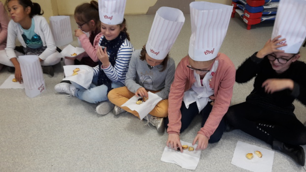 Dégustation autour du continent africain Dégustation autour du continent africain