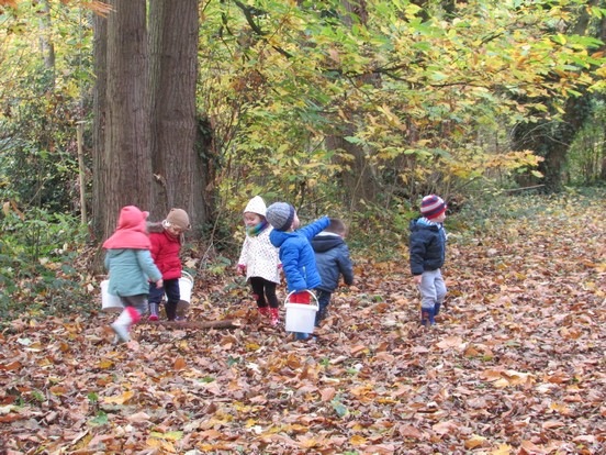 Petit tour au Bois de Lébisey