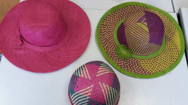 Découverte de l'île de Madagascar Découverte de l'île de Madagascar