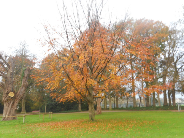 Au parc de la Fossette Au parc de la Fossette