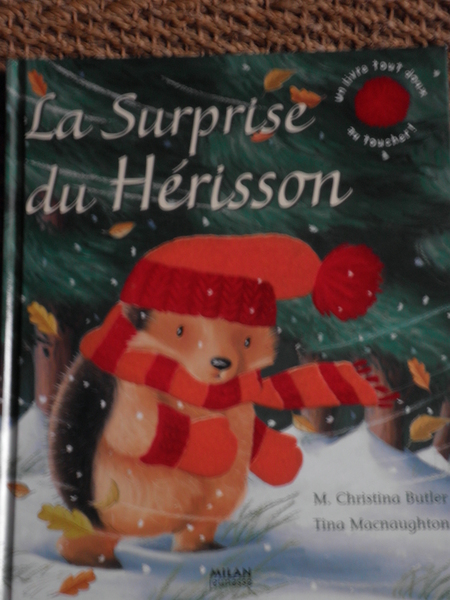 Un petit hérisson dans la tempête. Un petit hérisson dans la tempête.