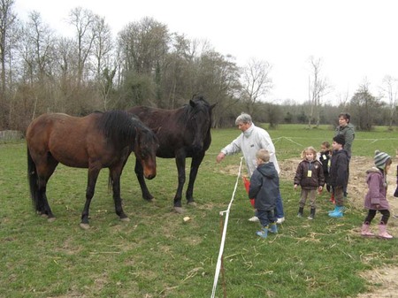 Visite de la ferme