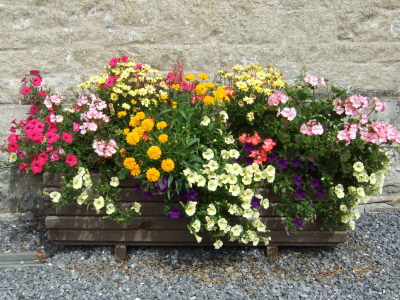 Atelier Jardinage des familles Atelier Jardinage des familles