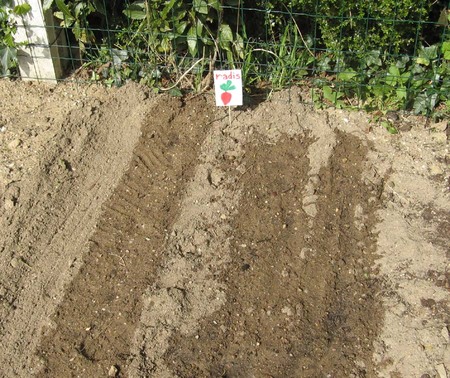 Jardinage en maternelle Jardinage en maternelle