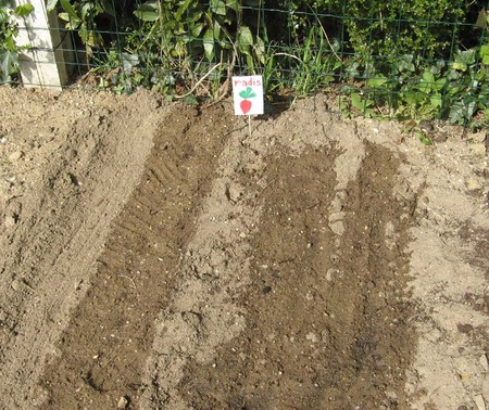 Jardinage en maternelle