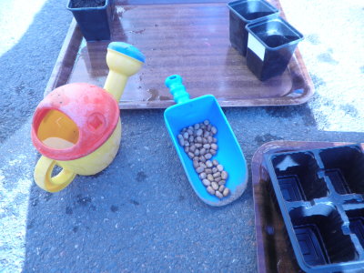 Préparation de semis Préparation de semis