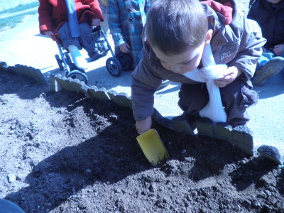 Préparation de semis Préparation de semis