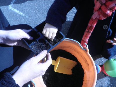 Préparation de semis Préparation de semis