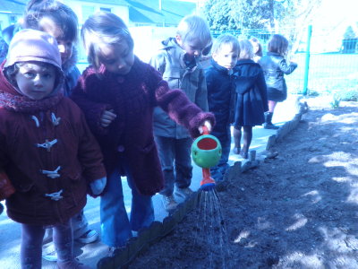 Préparation de semis Préparation de semis