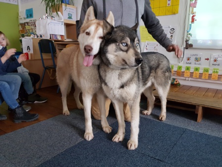 Rencontre avec des mushers Rencontre avec des mushers