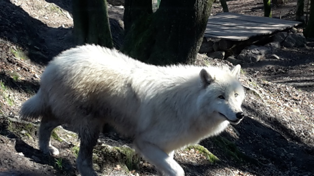 Visite au Zoo de Jurques Visite au Zoo de Jurques