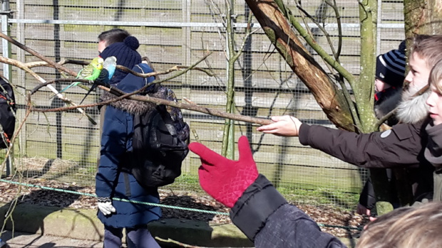 Visite au Zoo de Jurques Visite au Zoo de Jurques