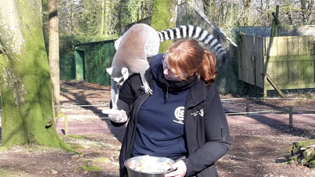 Visite au Zoo de Jurques Visite au Zoo de Jurques