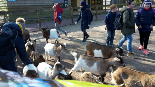 Visite au Zoo de Jurques Visite au Zoo de Jurques