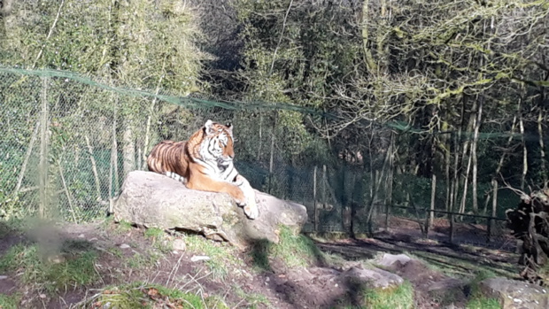 Visite au Zoo de Jurques Visite au Zoo de Jurques