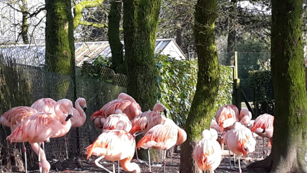 Visite au Zoo de Jurques Visite au Zoo de Jurques